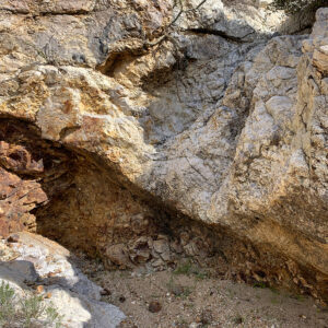 courageIMG_4207