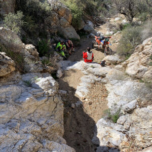 courageIMG_4209