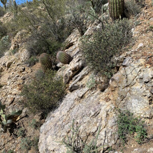 courageIMG_4213